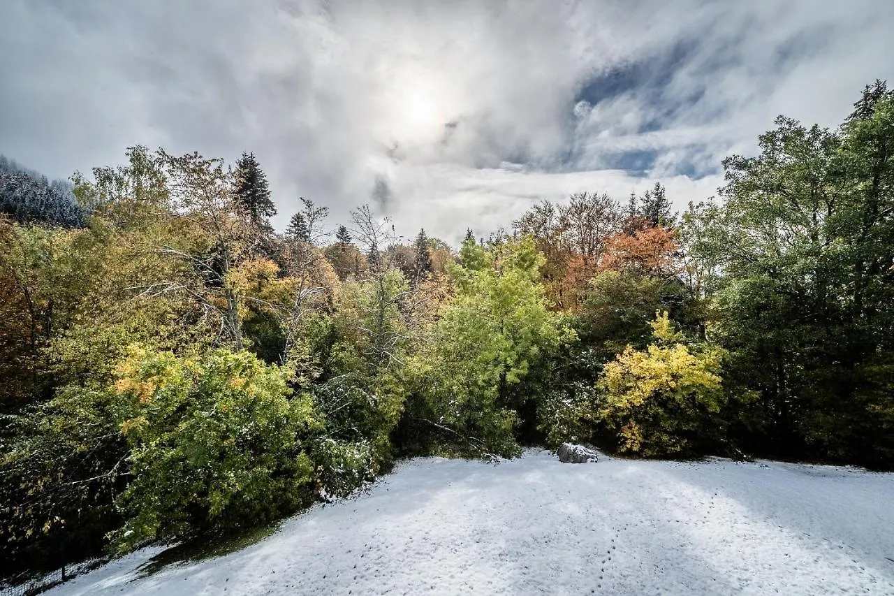 Holiday home Chalet La Ferme Du Gron Les Carroz - By Emerald Stay